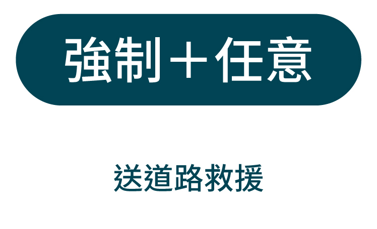 強制+任意險優惠