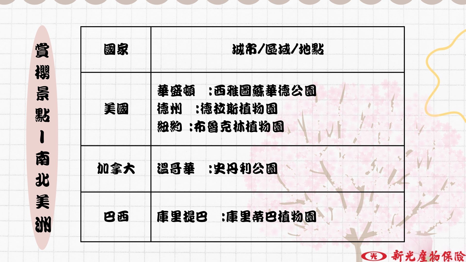 美洲賞櫻