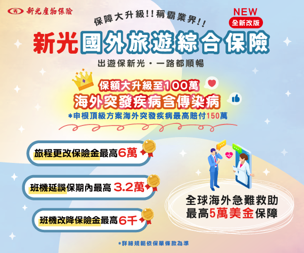國外旅平險+不便險